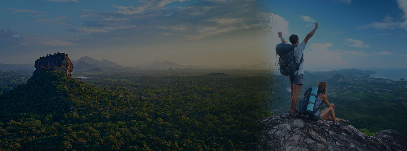 Sri Lanka coastal road with palm trees